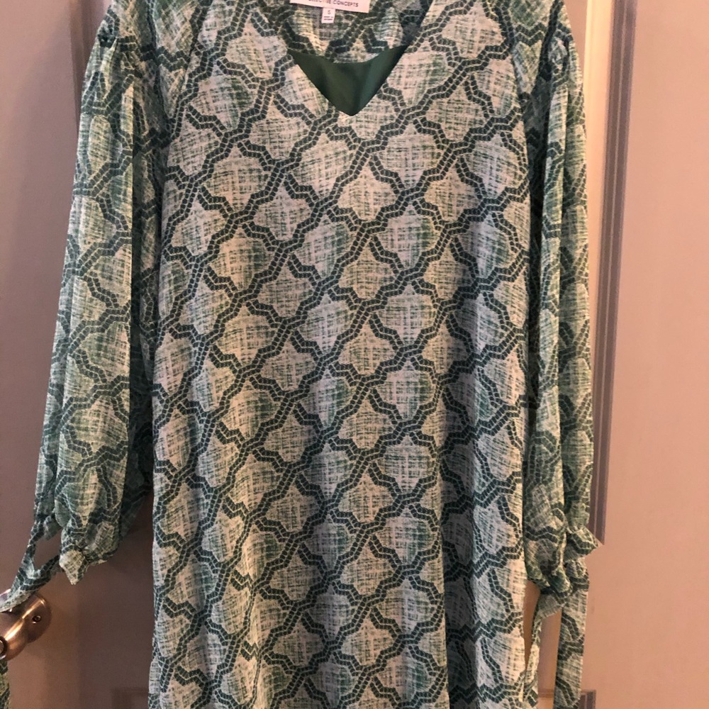 Pattern/Print Shift Dress - Picture 4 of 5
